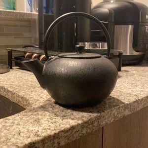 Cast Iron Teapot with Strainer
